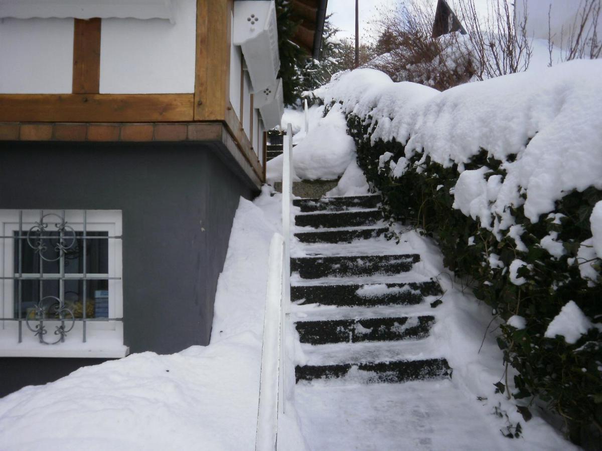 Linn Winterberg Luaran gambar